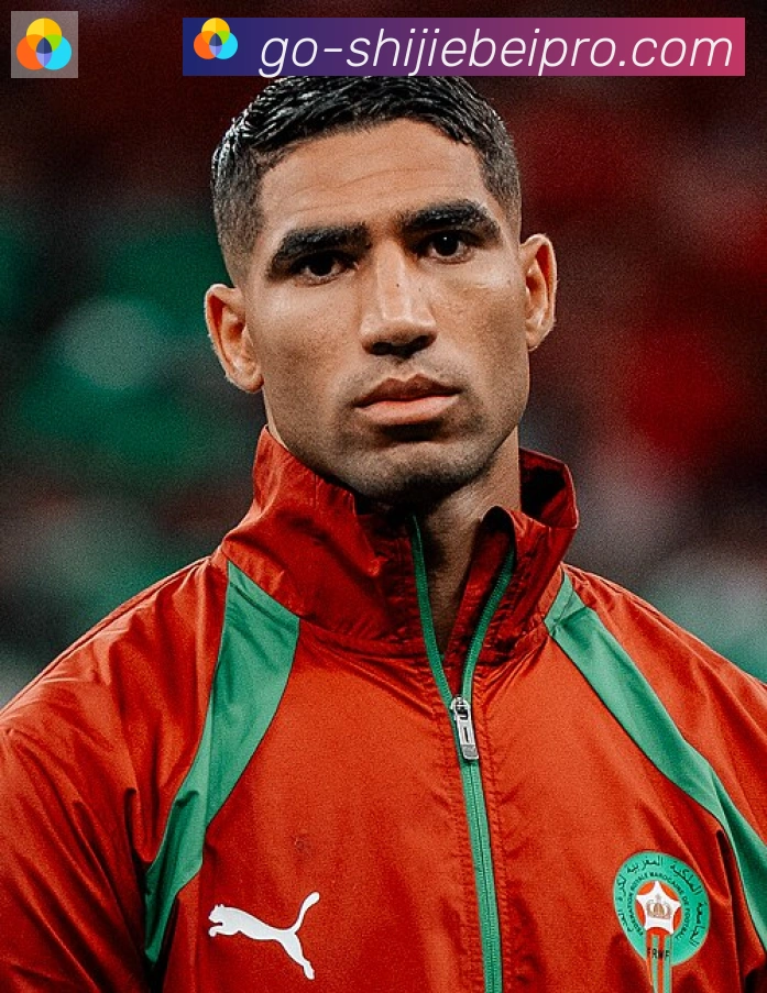 阿什拉夫·哈基米